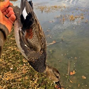 Meet your Posher, Kevin